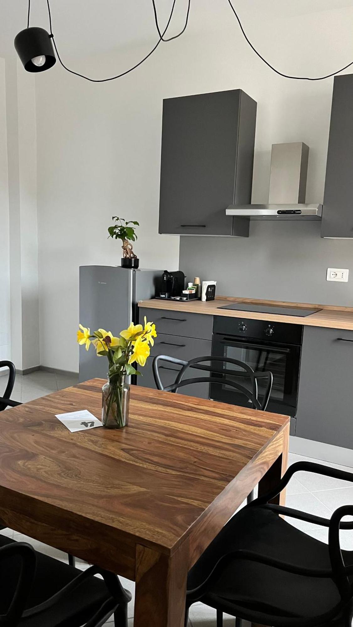 San Martino Holiday Apartments Nizza Monferrato Eksteriør billede