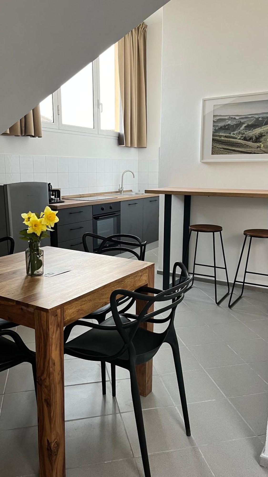 San Martino Holiday Apartments Nizza Monferrato Eksteriør billede